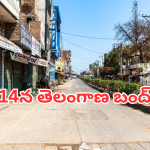 Telangana Bandh: ఈనెల 14న తెలంగాణ రాష్ట్రా బంద్.. ఎందుకంటే..?