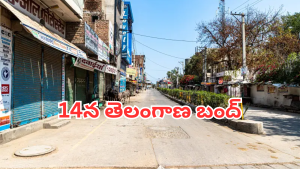 Telangana Bandh: ఈనెల 14న తెలంగాణ రాష్ట్రా బంద్.. ఎందుకంటే..?