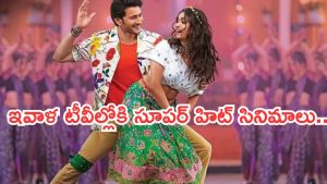 Today Movies in TV : ఆదివారం టీవీల్లోకి రాబోతున్న సినిమాలు.. వీటిని మిస్ చెయ్యకండి..