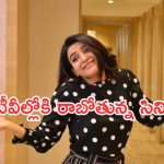 Today Movies in TV : సోమవారం టీవీల్లోకి బోలెడు సినిమాలు.. ఒక్కటి కూడా మిస్ అవ్వొద్దు..