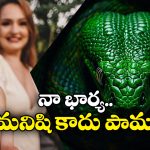 Viral News: రాత్రయితే నాగినిగా మారి కాటేస్తున్న భార్య.. కలెక్టర్ కు భర్త ఫిర్యాదు!