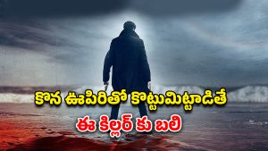OTT Movie : వరుస హత్యలు… ఆ రోగం ఉన్న పేషంట్సే ఈ సైకో టార్గెట్… సస్పెన్స్ తో పిచ్చెక్కించే క్రైమ్ థ్రిల్లర్