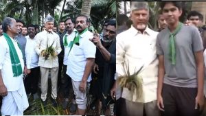 CM Chandrababu Naidu: అందరూ చదువుకుంటూ పోతే ఎలా? చంద్రబాబుకు యువకుడి ప్రశ్న.. వీడియో వైరల్!