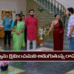 Brahmamudi Serial Today November 11th:‘బ్రహ్మముడి’ సీరియల్‌: స్వప్నను క్షమాపణ అడిగిన రాహుల్‌