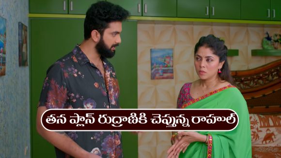 Brahmamudi Serial Today November 14th:‘బ్రహ్మముడి’ సీరియల్‌: తన ప్లాన్‌ మొత్తం రుద్రాణికి చెప్పిన రాహుల్‌      