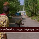 Brahmamudi Serial Today November 17th:‘బ్రహ్మముడి’ సీరియల్‌: రాహుల్ చేతిలో డబ్బులు ఎత్తుకెళ్లిన దొంగలు  