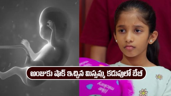 Nindu Noorella Saavasam Serial Today November 23rd: ‘నిండు నూరేళ్ల సావాసం’ సీరియల్‌: అంజుతో మాట్లాడిన మిస్సమ్మ కడుపులో బేబీ
