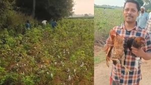 Hanumakonda: కోయ్.. కోయ్.. కొక్కొరొక్కో.. కోళ్ల కోసం జనం పరుగుల వేట