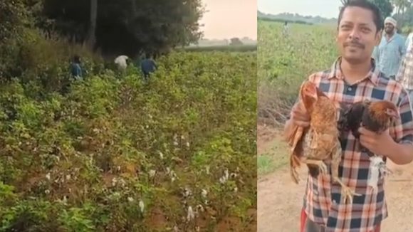 Hanumakonda: కోయ్.. కోయ్.. కొక్కొరొక్కో.. కోళ్ల కోసం జనం పరుగుల వేట