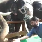 Pawan Kalyan: కుంకీ ఏనుగుల కేంద్రాన్ని ప్రారంభించిన.. డిప్యూటీ సీఎం పవన్ కళ్యాణ్