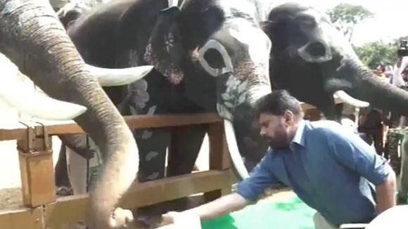 Pawan Kalyan: కుంకీ ఏనుగుల కేంద్రాన్ని ప్రారంభించిన.. డిప్యూటీ సీఎం పవన్ కళ్యాణ్