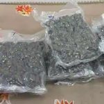 Delhi Airport Drug Bust: ఢిల్లీ ఎయిర్‌పోర్ట్‌లో డ్రగ్స్ కలకలం.. NIA అధికారిణి వేషంలో కిలాడీ లేడీ