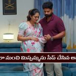 Nindu Noorella Saavasam Serial Today November 19th: ‘నిండు నూరేళ్ల సావాసం’ సీరియల్‌: కాలా బారి నుంచి మిస్సమ్మను సేవ్ చేసిన అమర్‌  