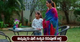 Nindu Noorella Saavasam Serial Today November 24th: ‘నిండు నూరేళ్ల సావాసం’ సీరియల్‌:  మిస్సమ్మకు షాక్ ఇచ్చిన కడుపులో బిడ్డ
