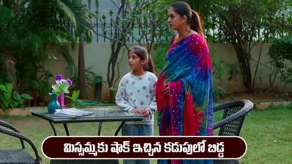 Nindu Noorella Saavasam Serial Today November 24th: ‘నిండు నూరేళ్ల సావాసం’ సీరియల్‌:  మిస్సమ్మకు షాక్ ఇచ్చిన కడుపులో బిడ్డ