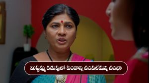 Brahmamudi Serial Today November 6th:‘బ్రహ్మముడి’ సీరియల్‌: కూయిలీ గురించి నింజ తెలుసుకున్న రాహుల్‌