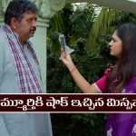 Nindu Noorella Saavasam Serial Today November 10th: ‘నిండు నూరేళ్ల సావాసం’ సీరియల్‌:  రామ్మూర్తికి నిజం చెప్పిన మిస్సమ్మ 