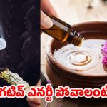Vastu Tips: ఇంట్లో నెగటివ్ ఎనర్జీ ఉందా ? అయితే ఈ వాస్తు టిప్స్ పాటించండి !