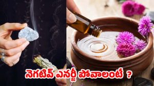 Vastu Tips: ఇంట్లో నెగటివ్ ఎనర్జీ ఉందా ? అయితే ఈ వాస్తు టిప్స్ పాటించండి !