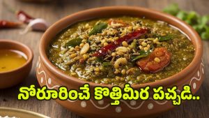 Kothmira Pachadi: నోరూరించే కొత్తిమీర పచ్చడి.. సింపుల్‌గా ఇలా తయారు చేయండి !