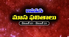 Monthly Horoscope in Telugu: 'డిసెంబర్ రాశిఫలాలు' :  ఈనెలలో ఆ రాశి ఉద్యోగులకు శుభవార్తలు - వారికి నూతన వాహన యోగం