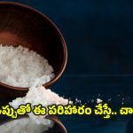 Spiritual Power of Salt: ఇంట్లో గొడవలు తగ్గాలంటే.. ? ఉప్పుతో ఇలా చేయండి చాలు