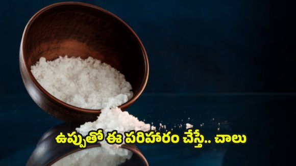 Spiritual Power of Salt: ఇంట్లో గొడవలు తగ్గాలంటే.. ? ఉప్పుతో ఇలా చేయండి చాలు