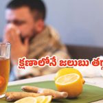 Cold: జలుబుతో ఇబ్బంది పడుతున్నారా ? క్షణాల్లోనే తగ్గించే టిప్స్ ఇవిగో..