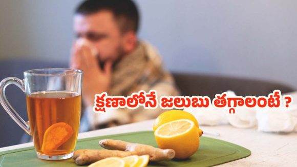 Cold: జలుబుతో ఇబ్బంది పడుతున్నారా ? క్షణాల్లోనే తగ్గించే టిప్స్ ఇవిగో..