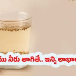  Ajwain Seed Water: వాము నీరు తాగితే.. నమ్మలేనన్ని లాభాలు !