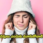 Ears: చలికాలంలో.. చెవులు ఎందుకు మూసుకోవాలి ?