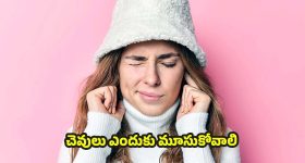 Ears: చలికాలంలో.. చెవులు ఎందుకు మూసుకోవాలి ?