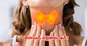 Viral Video: టైమ్‌కు ఆఫీస్‌కు రావాలన్న బీహారీ బాస్.. దారుణంగా కొట్టించిన మరాఠీ మహిళ!