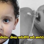 Baby Suffered Heart Attack: 13 నెలల పసిపాప నాలుకను తీసేసిన డాక్టర్లు.. అది తాగిన వెంటనే హార్ట్ ఎటాక్, చివరికి..