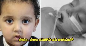 SS Rajamouli: వాడో ఫాల్తు డైరెక్టర్.. రాజమౌళిపై రెచ్చిపోయిన రాజాసింగ్