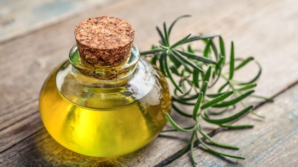 Rosemary Oil For Hair Growth: ఈ ఆయిల్‌తో మ్యాజిక్ ఒక్క సారి వాడితే.. జుట్టు వద్దన్నా పెరుగుతుంది తెలుసా ?