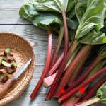 Most Dangerous Foods: ప్రపంచంలోనే అత్యంత ప్రమాదకరమైన ఆహారాలు.. సరిగ్గా వండకపోతే ప్రాణాలకే ప్రమాదం !