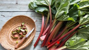 Most Dangerous Foods: ప్రపంచంలోనే అత్యంత ప్రమాదకరమైన ఆహారాలు.. సరిగ్గా వండకపోతే ప్రాణాలకే ప్రమాదం !