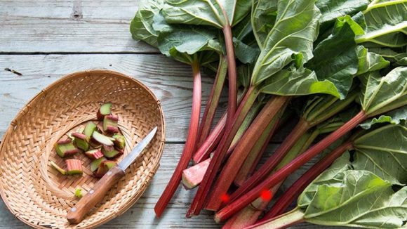 Most Dangerous Foods: ప్రపంచంలోనే అత్యంత ప్రమాదకరమైన ఆహారాలు.. సరిగ్గా వండకపోతే ప్రాణాలకే ప్రమాదం !