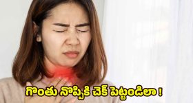 Throat Infection:చలికాలంలో గొంతు నొప్పా ? క్షణాల్లో తగ్గించే బెస్ట్ టిప్స్ ఇవే !