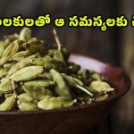 Cardamom Benefits: యాలకులను ఇలా వాడితే.. జీర్ణ సమస్యలు పరార్ !