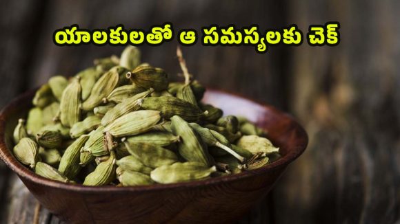 Cardamom Benefits: యాలకులను ఇలా వాడితే.. జీర్ణ సమస్యలు పరార్ !
