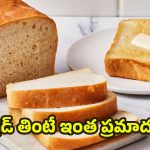 White Bread: బ్రెడ్ తింటున్నారా ? తప్పకుండా తెలుసుకోవాల్సిన విషయాలివే !