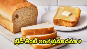 White Bread: బ్రెడ్ తింటున్నారా ? తప్పకుండా తెలుసుకోవాల్సిన విషయాలివే !
