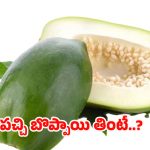 Raw Papaya: పచ్చి బొప్పాయి వారానికి 3 సార్లు తింటే.. ఈ రోగాలు రమ్మన్నా రావు