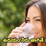 Water: రోజూ ఉదయాన్నే ఖాళీ కడుపుతో నీరు తాగే.. అలవాటు మీలో ఉందా ?