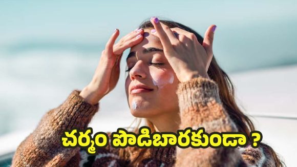 Skin Care Tips: చలికాలంలో కోమలమైన చర్మం కోసం.. ఎలాంటి టిప్స్ పాటించాలి ?