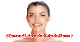 Winter Skin Care: చలికాలంలో చర్మం రంగు మారుతుందా ? ఈ టిప్స్‌ పాటిస్తే ప్రాబ్లమ్ సాల్వ్