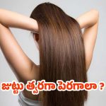 Tips For Hair: జుట్టు త్వరగా పెరగాలా ? అయితే.. ఈ టిప్స్ ఫాలో అవ్వండి