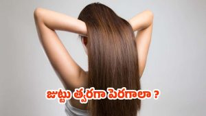 Tips For Hair: జుట్టు త్వరగా పెరగాలా ? అయితే.. ఈ టిప్స్ ఫాలో అవ్వండి